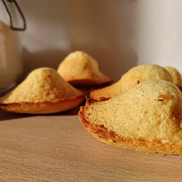 Madeleines